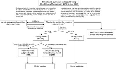 Neural network-based model for evaluating inert nodules and volume doubling time in T1 lung adenocarcinoma: a nested case−control study